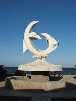 DELFINES EN PUERTO PADRE. AUTOR: JOS&Eacute; MASS&Oacute; L&Oacute;PEZ